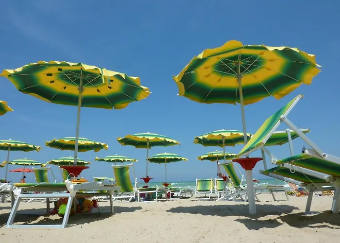 Iris-silvi * Сильви-Марина